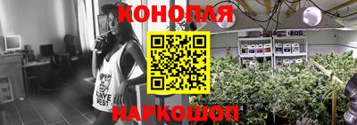 стаф Ставрополь