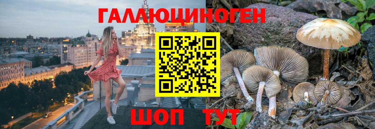 Галлюциногенные грибы мицелий Орск
